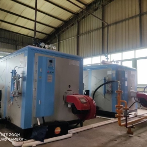 蒸汽發生器安裝現場